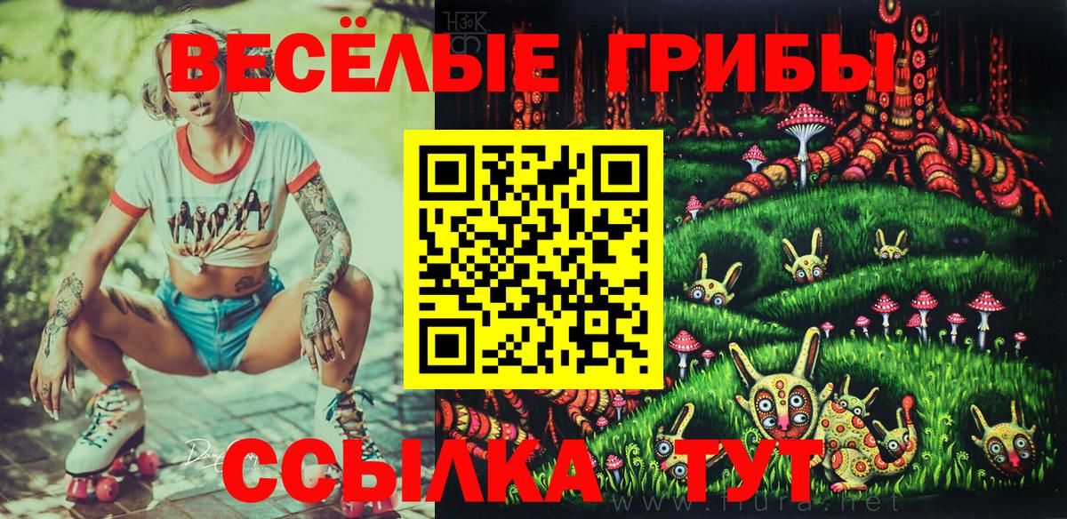 Кандалакша  Галлюциногенные грибы MAGIC MUSHROOMS  Вход с VPN 
